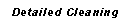 Text Box: Detailed Cleaning